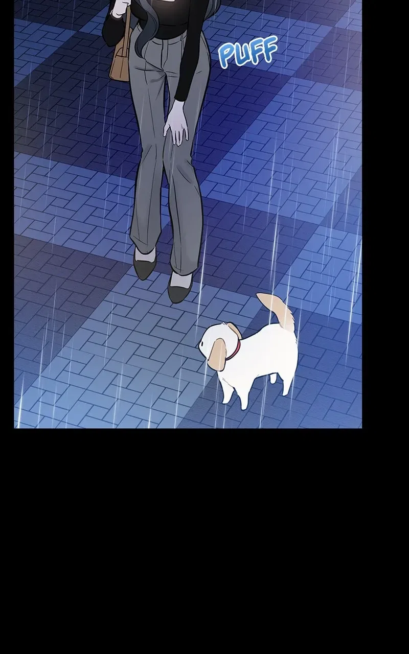 Woke Up as the CEO’s Dog Chapter 1 – Page 85