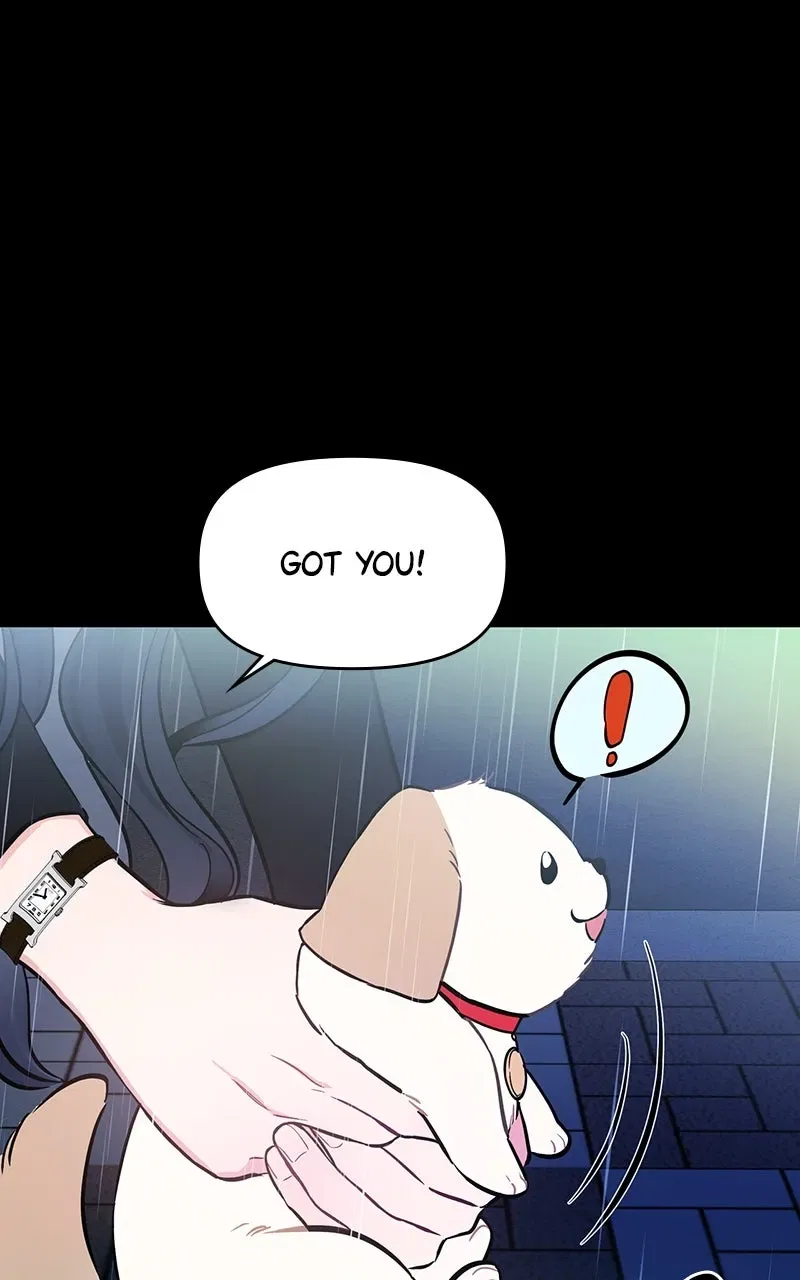 Woke Up as the CEO’s Dog Chapter 1 – Page 86