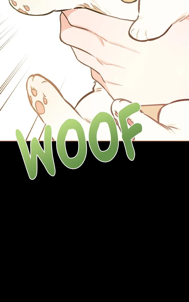 Woke Up as the CEO’s Dog Chapter 1 – Page 113