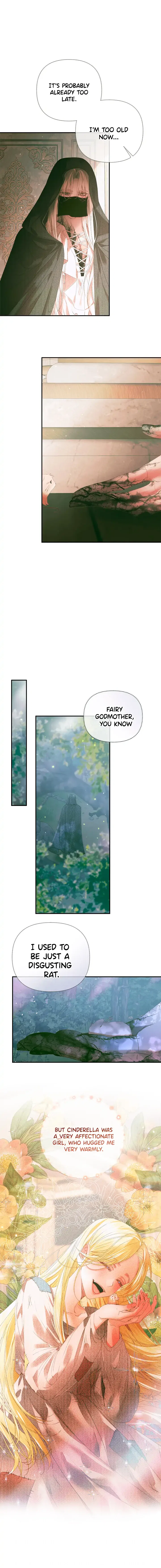This Wild Mouse Has Taken Cinderella Chapter 0 – Page 8