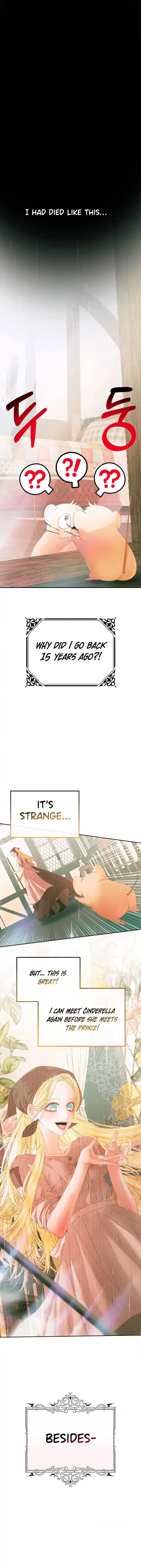 This Wild Mouse Has Taken Cinderella Chapter 0 – Page 10