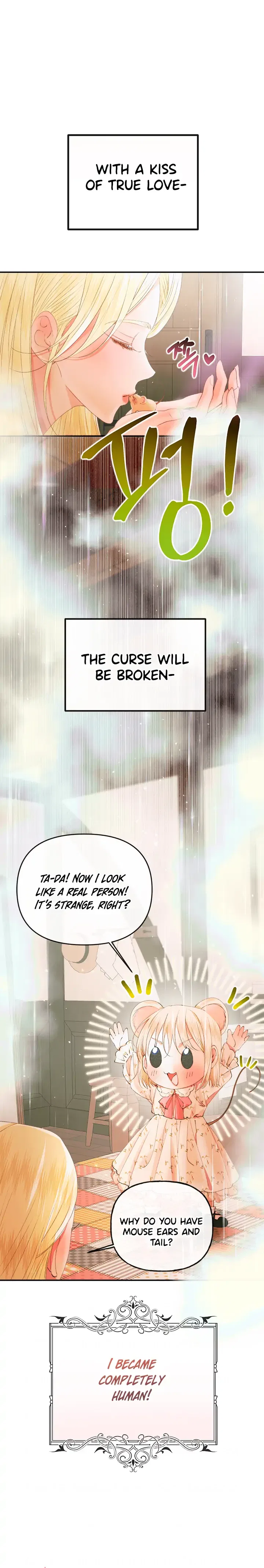 This Wild Mouse Has Taken Cinderella Chapter 0 – Page 11
