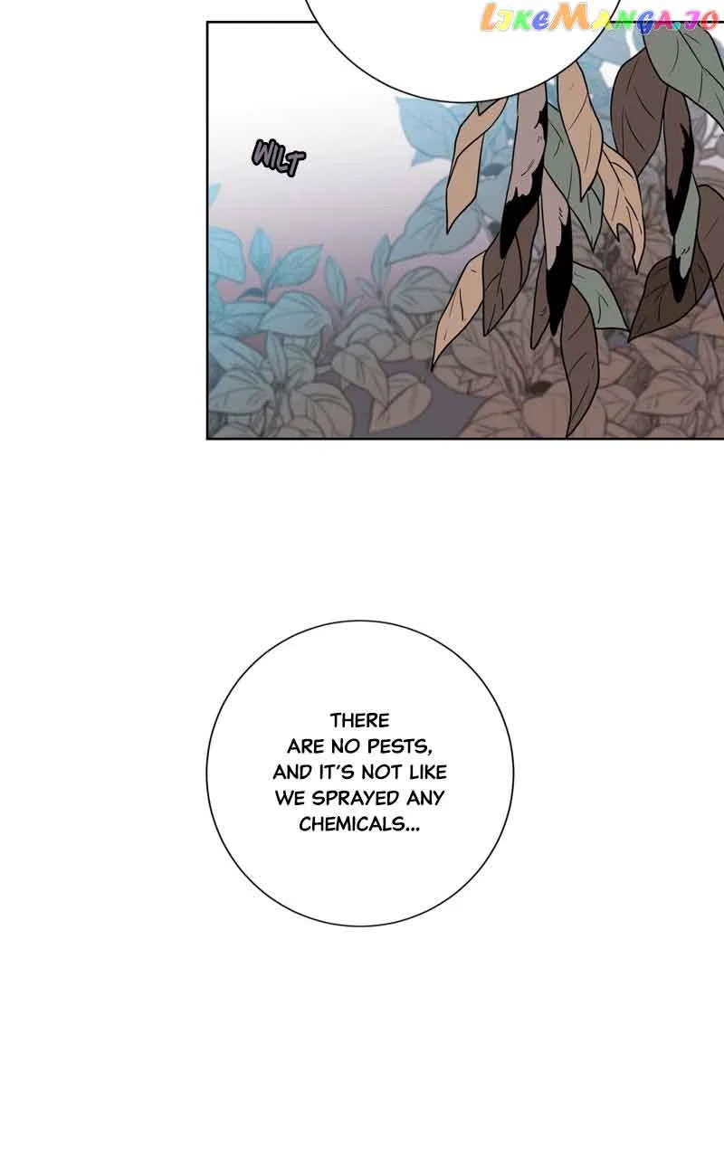 The Goddess’s Guide to Farming Chapter 39 – Page 4