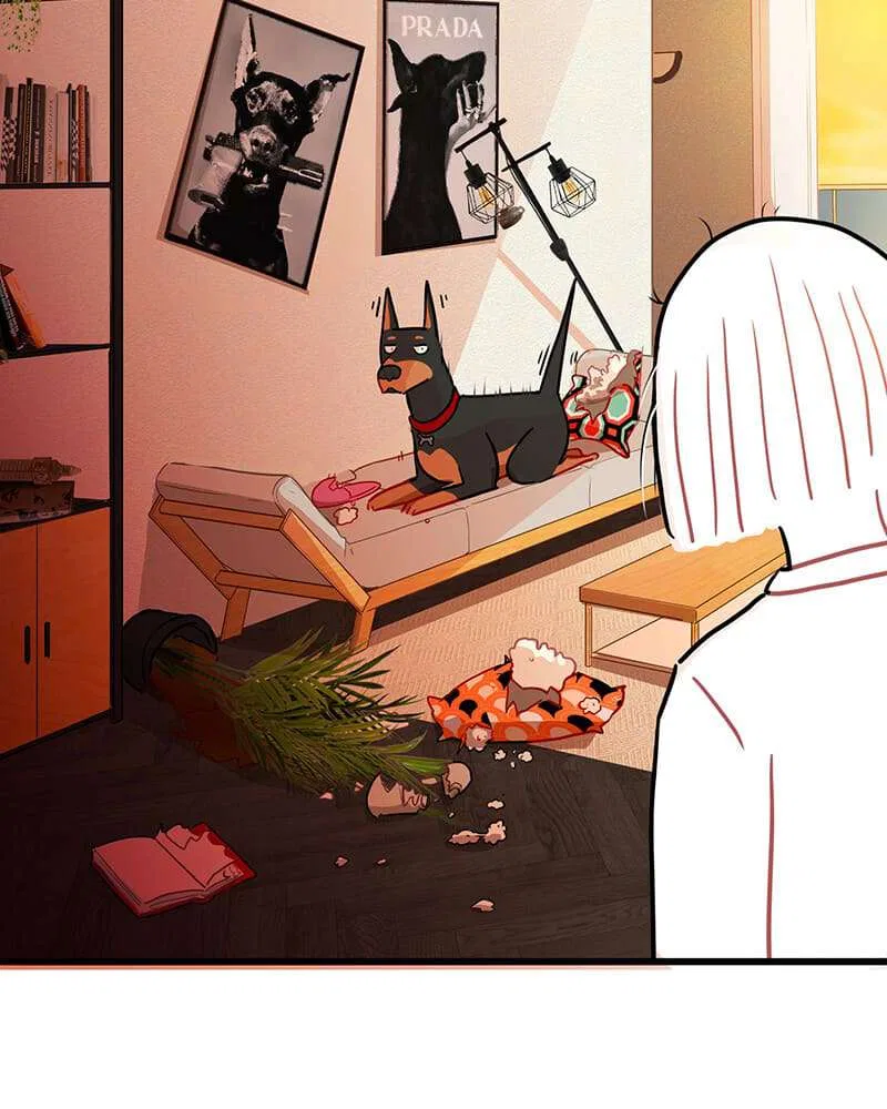 Love 4 a Walk Chapter 1 – Page 37