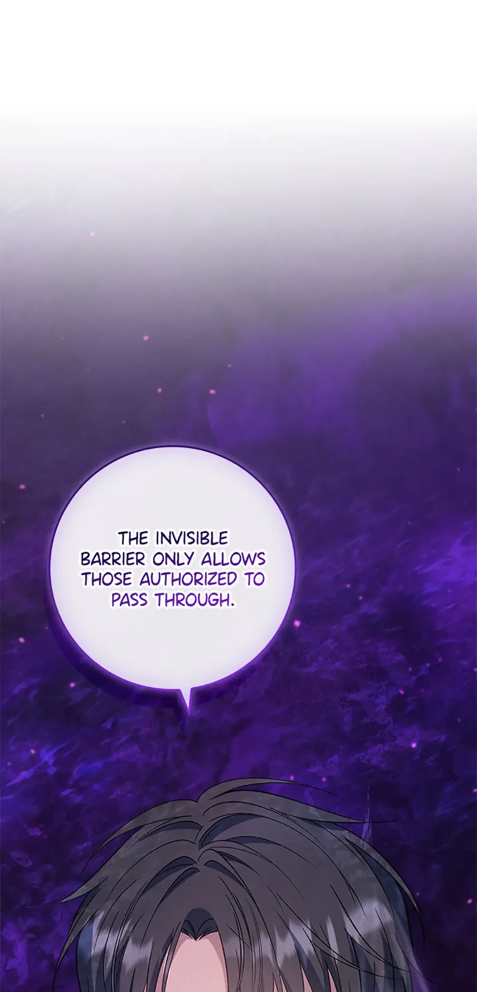 The Fake Lady of House Silkisia Chapter 84 – Page 21