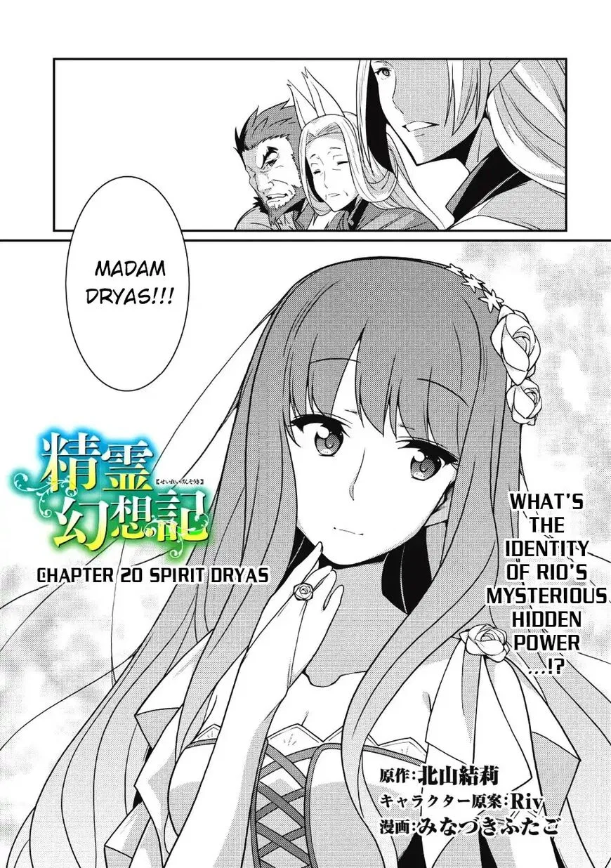 Seirei Gensouki - Konna Sekai de Deaeta Kimi ni (MINAZUKI Futago) Chapter 20 – Page 1