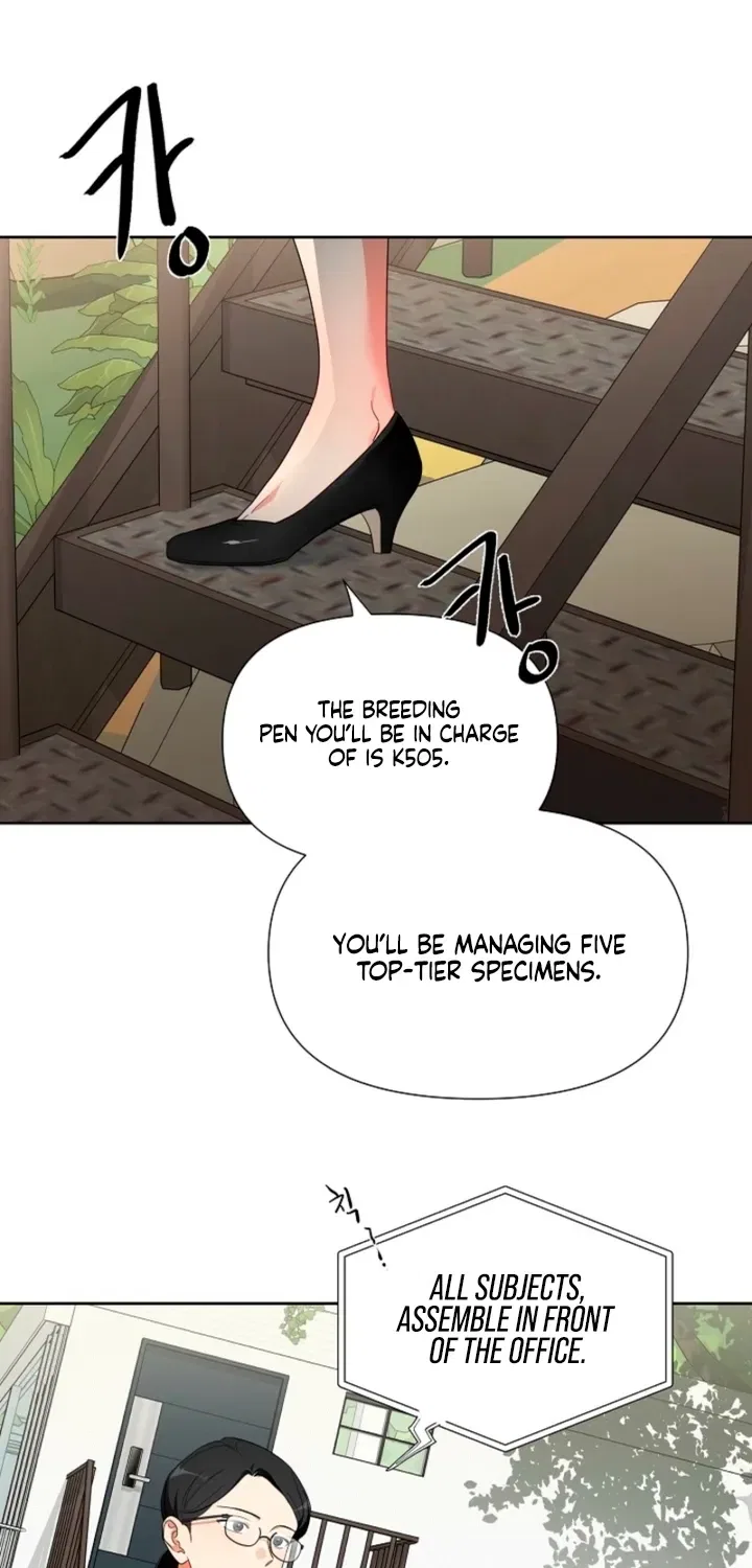 Males In The Breeding Room Chapter 1 – Page 23