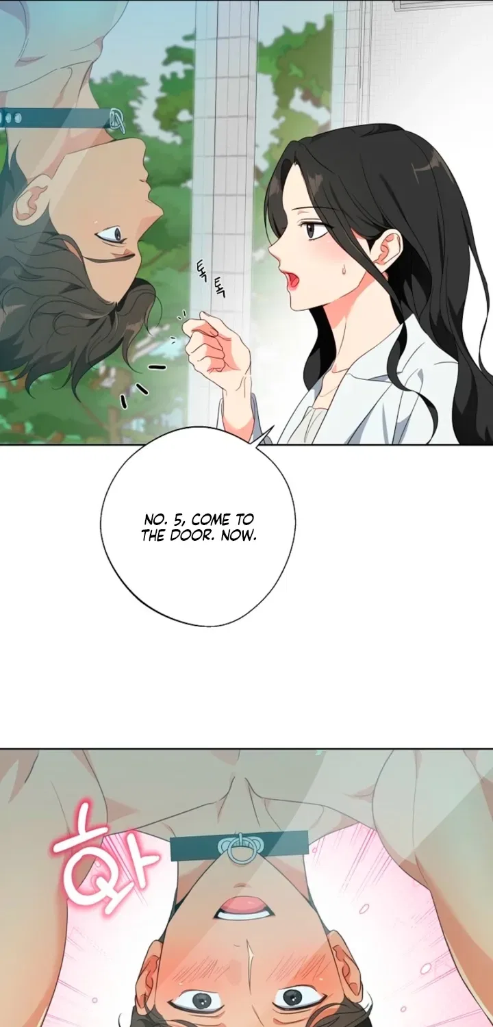 Males In The Breeding Room Chapter 1 – Page 65