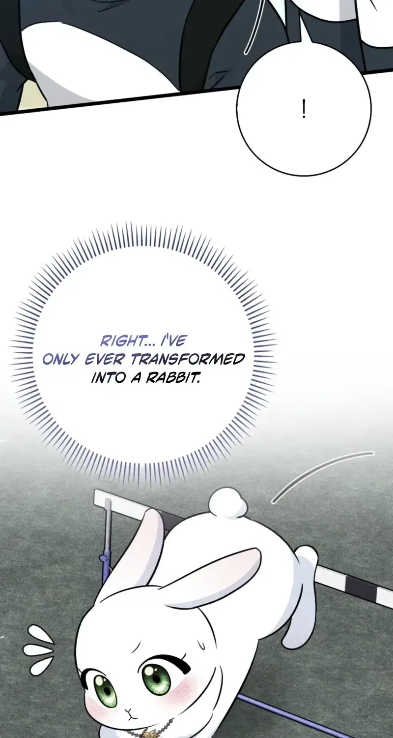 Anyone Can See It’s A Beast Chapter 65 – Page 5