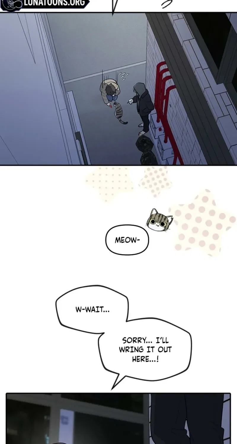 I’m Only Shy in Front of You Chapter 1 – Page 147