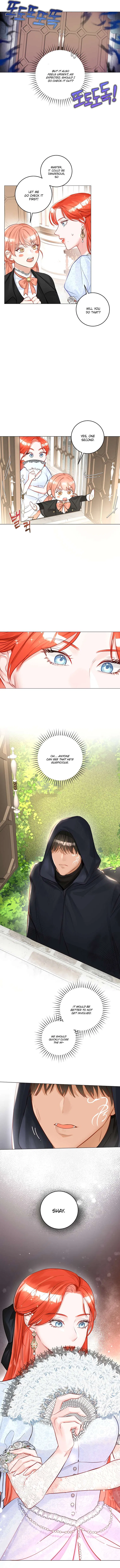 The Archduke’s Gorgeous Wedding Was a Fraud Chapter 15 – Page 11