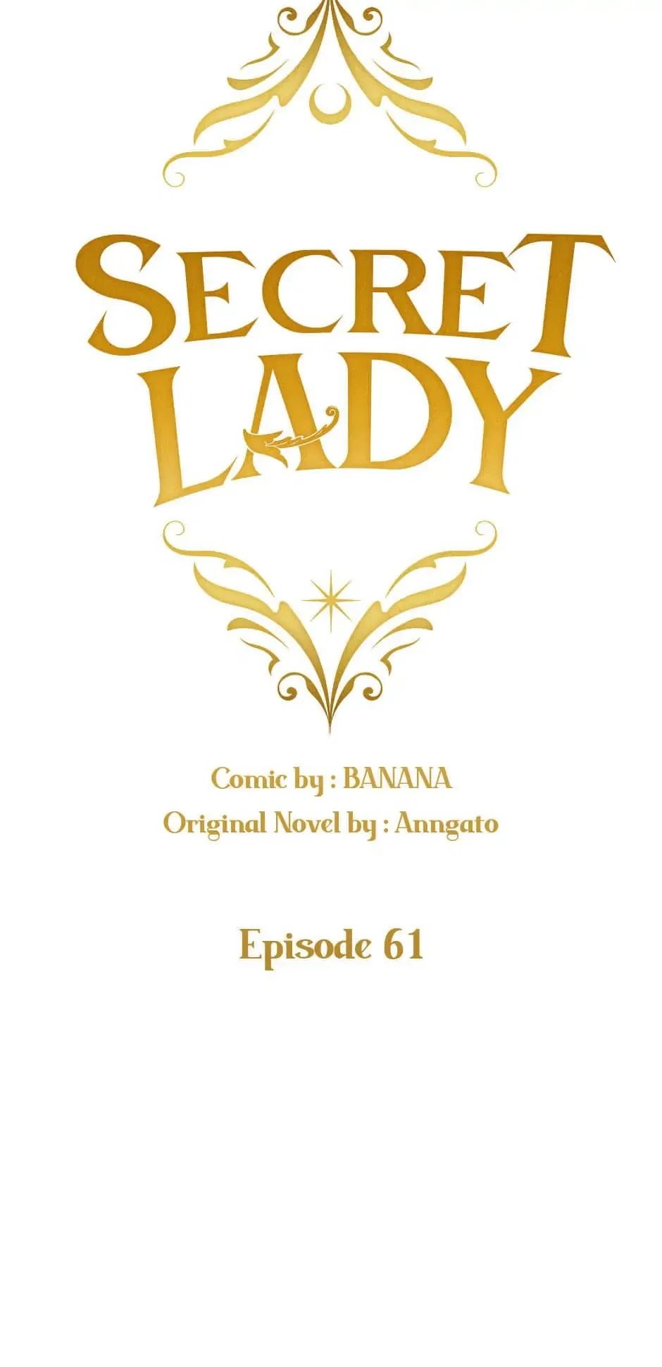 Secret Lady Chapter 61 – Page 5