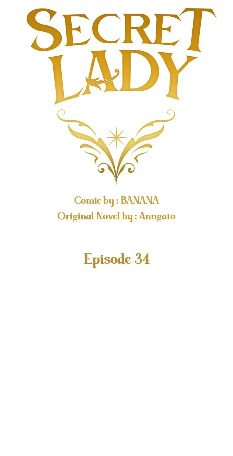 Secret Lady Chapter 34 – Page 29