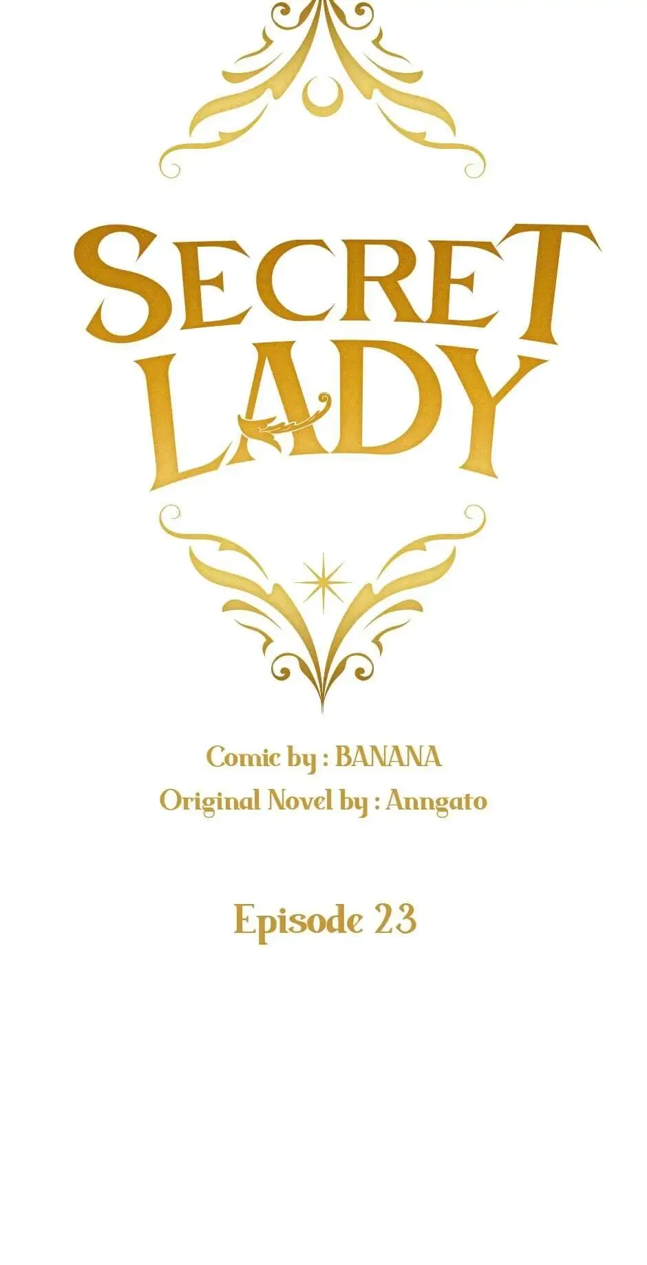 Secret Lady Chapter 23 – Page 17