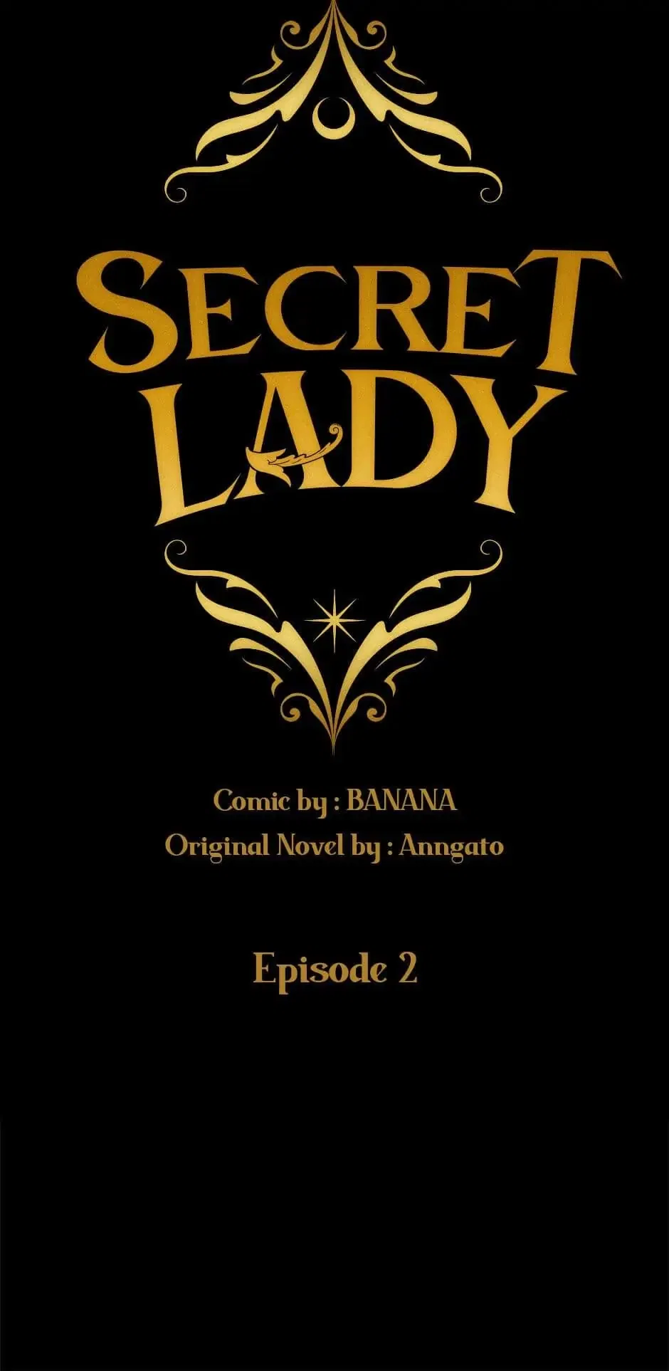 Secret Lady Chapter 2 – Page 17