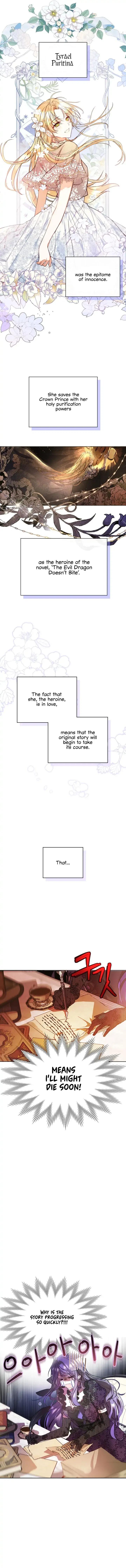 The Heroine Had an Affair with My Fiance Chapter 1 – Page 4