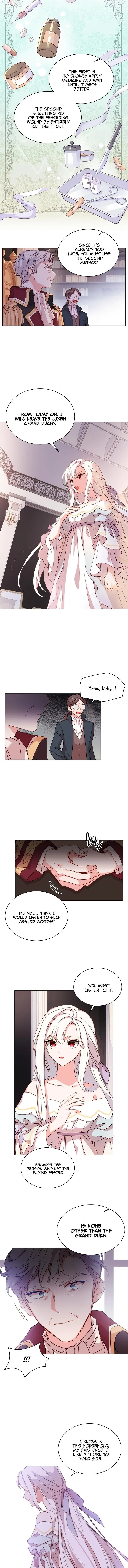 The Lady Wants to Rest Chapter 3 – Page 7