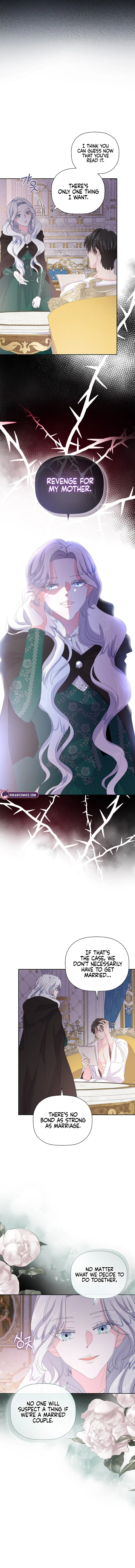 The Time-Limited Villainess Who Makes Medicine Chapter 2 – Page 3