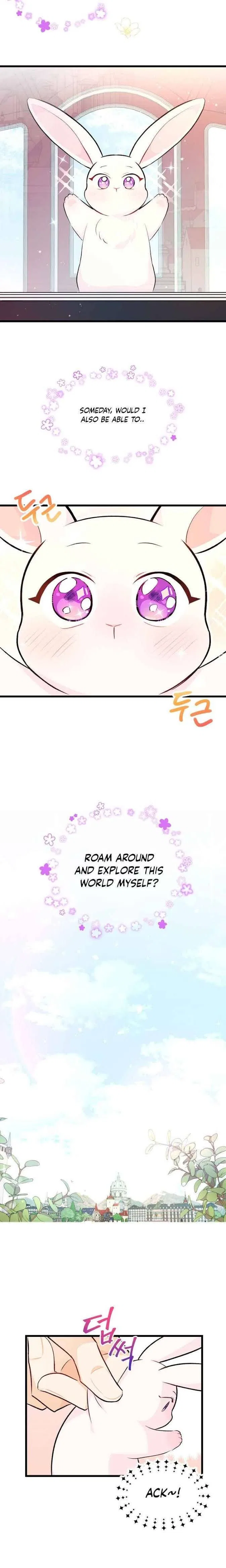 Little Rabbit and the Big Bad Leopard Chapter 6 – Page 16