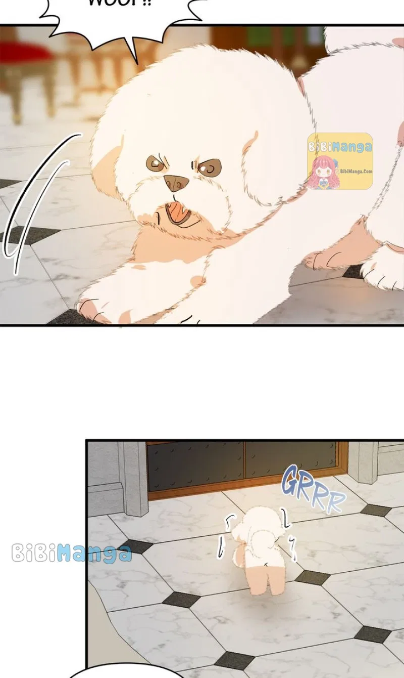 If You Want a Fake Sister Chapter 22 – Page 24