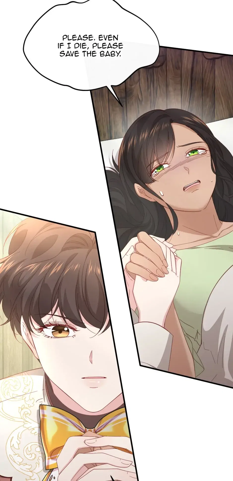 The Prince’s Personal Physician Chapter 39 – Page 15