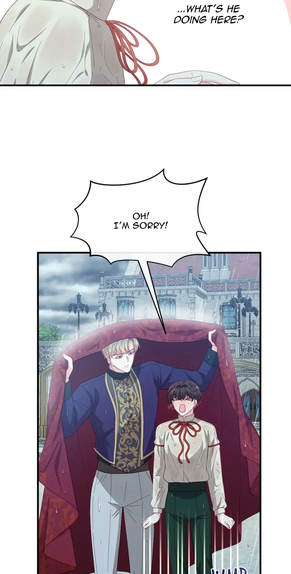 The Prince’s Personal Physician Chapter 37 – Page 8