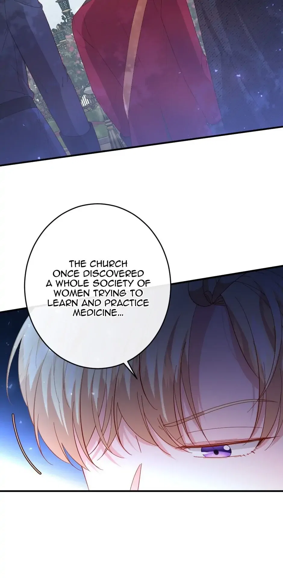 The Prince’s Personal Physician Chapter 25 – Page 30