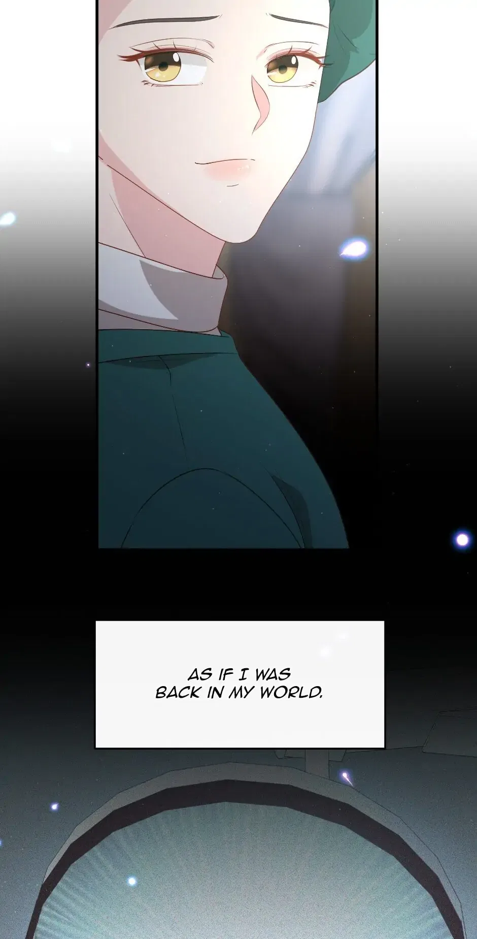 The Prince’s Personal Physician Chapter 21 – Page 47