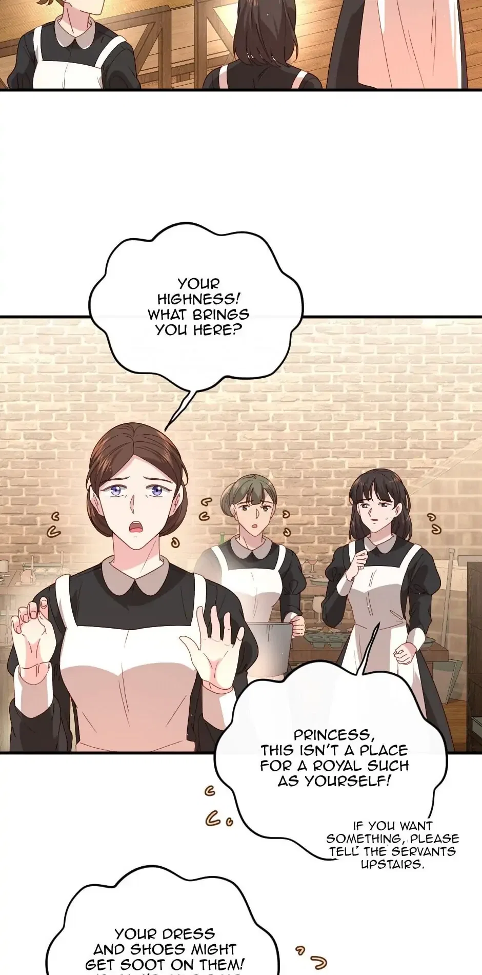 The Prince’s Personal Physician Chapter 13 – Page 24