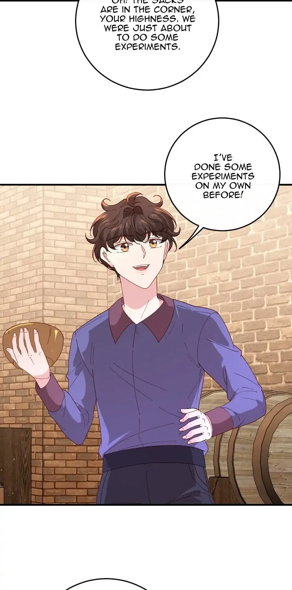 The Prince’s Personal Physician Chapter 13 – Page 29