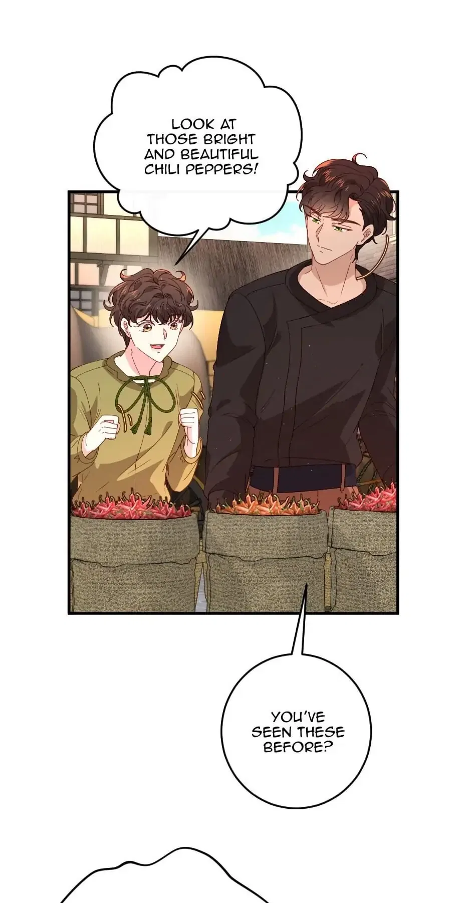 The Prince’s Personal Physician Chapter 12 – Page 34