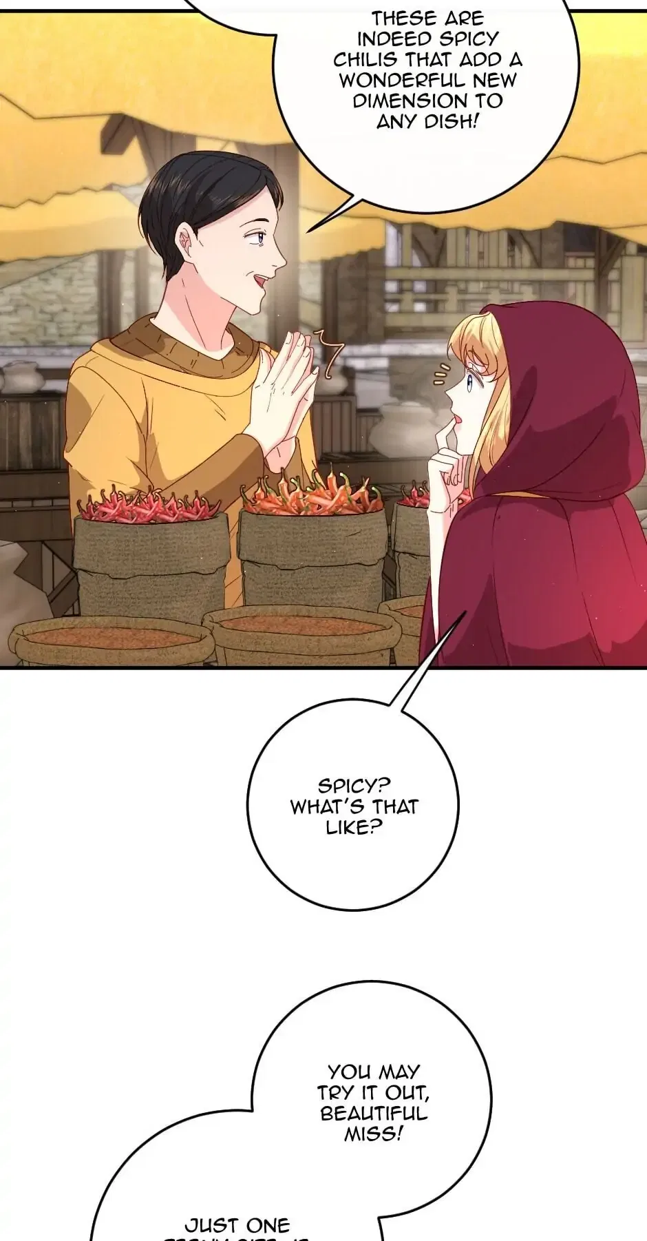The Prince’s Personal Physician Chapter 12 – Page 36