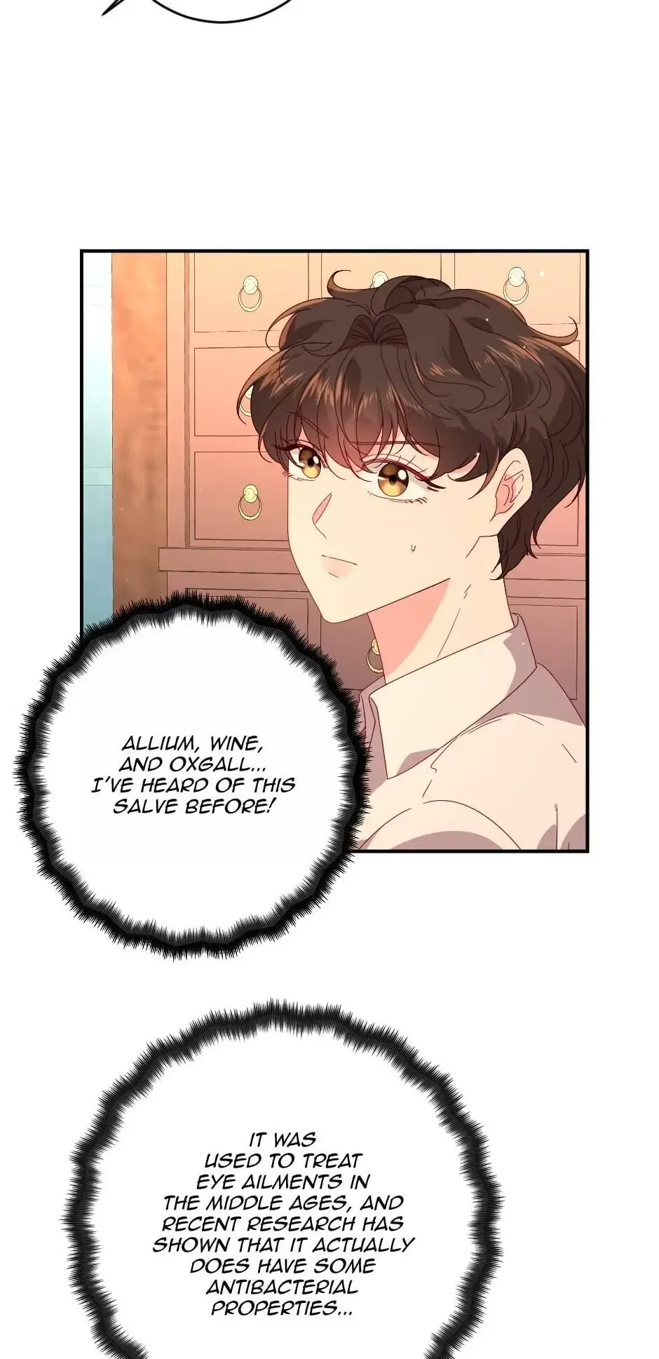 The Prince’s Personal Physician Chapter 8 – Page 28