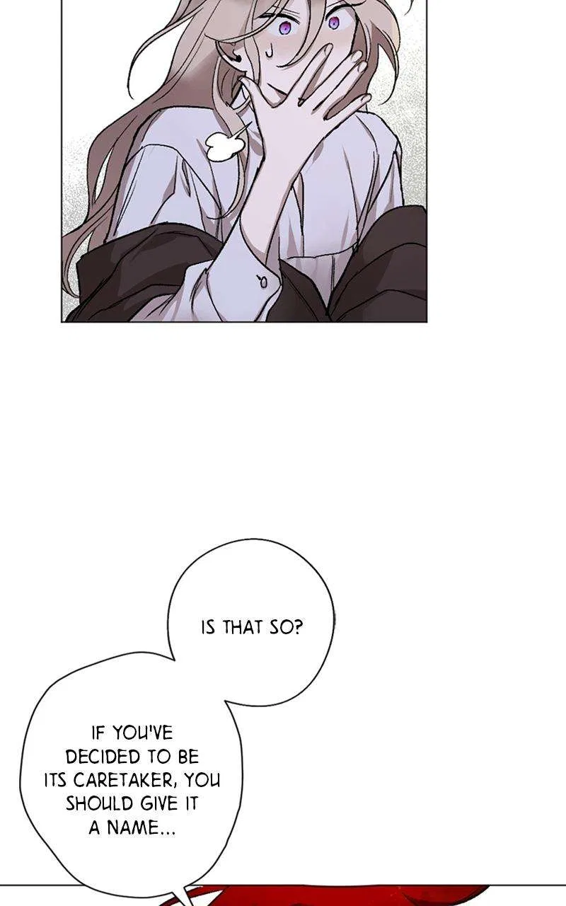 The Dark Lord’s Confession Chapter 11 – Page 13