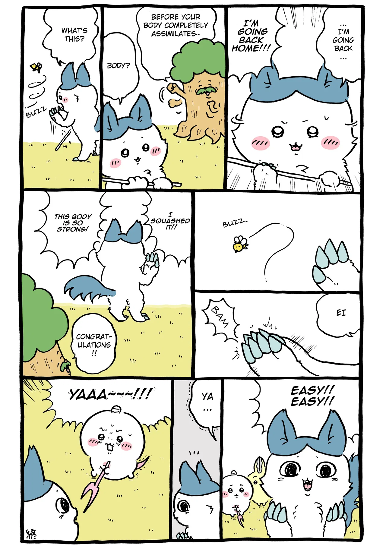 Chiikawa: Nanka Chiisakute Kawaii Yatsu (Webcomic Pages) Chapter 851 – Page 1
