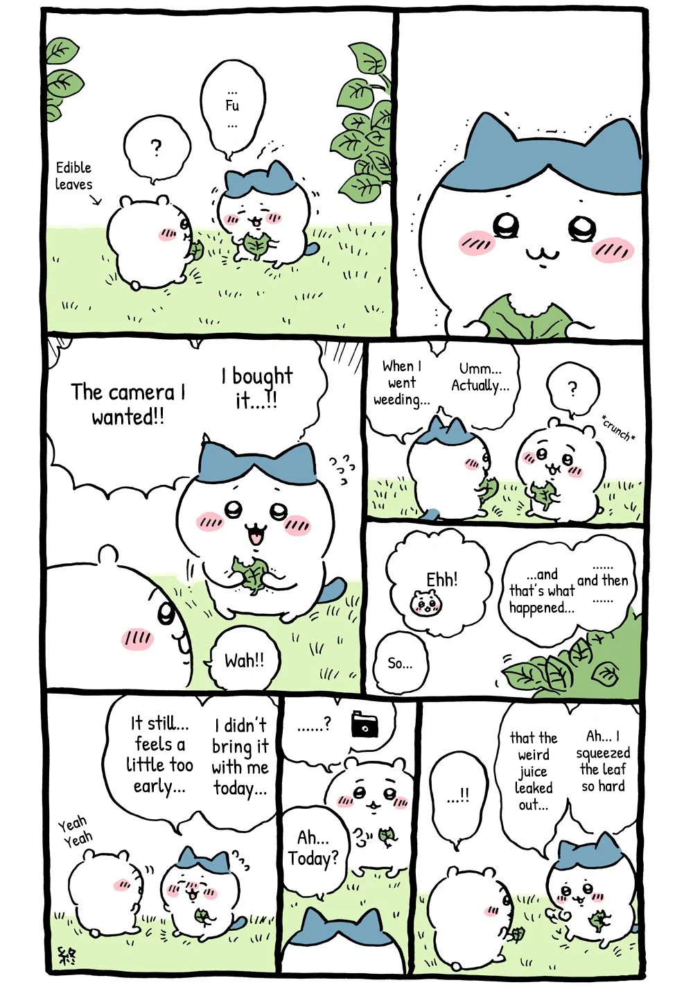 Chiikawa: Nanka Chiisakute Kawaii Yatsu (Webcomic Pages) Chapter 132 – Page 1