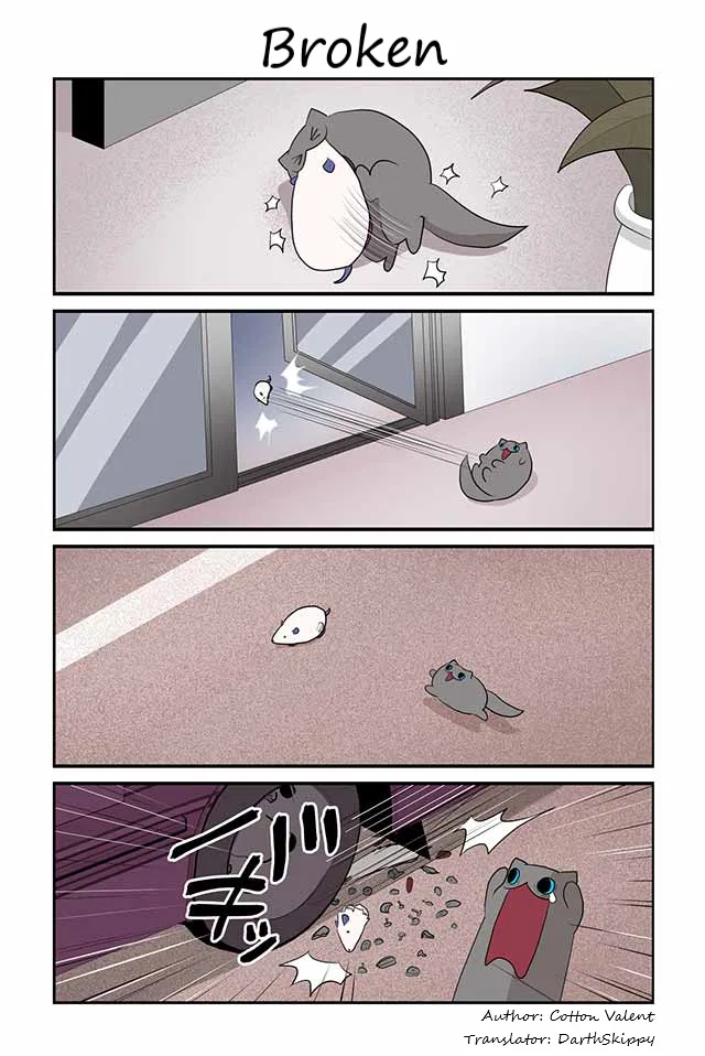 Creepy Cat: Neko to Watashi no Kimyou na Seikatsu Chapter 352 – Page 1