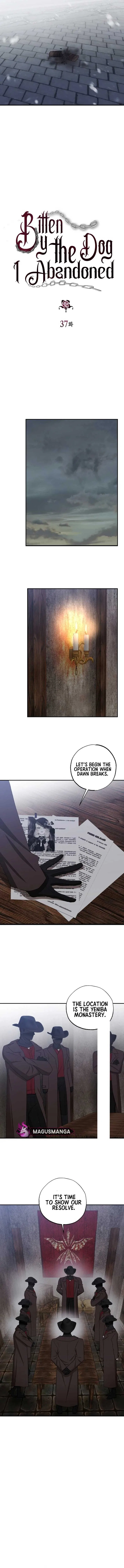 Bitten by the Dog I Abandoned Chapter 37 – Page 2