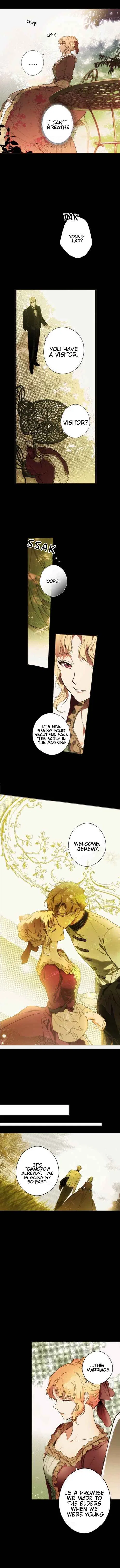 The Fantasie of a Stepmother Chapter 57 – Page 5