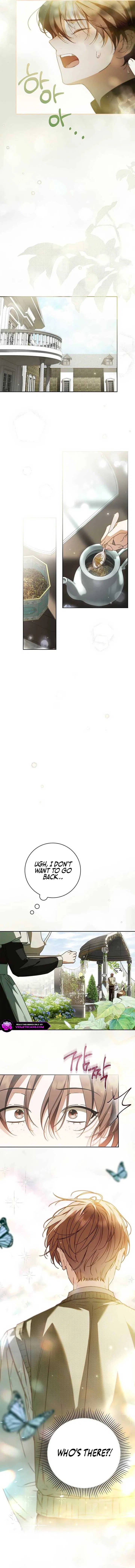 The Count’s Secret Maid Chapter 24 – Page 5