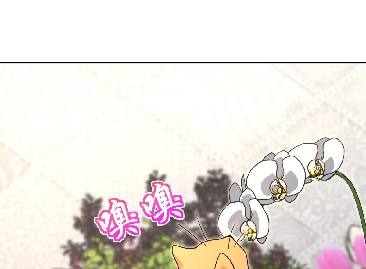 My Wife Is From a Thousand Years Ago Chapter 380 – Page 58