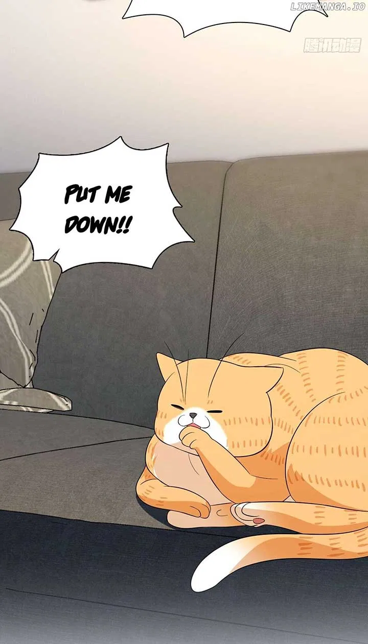 My Wife Is From a Thousand Years Ago Chapter 338 – Page 28