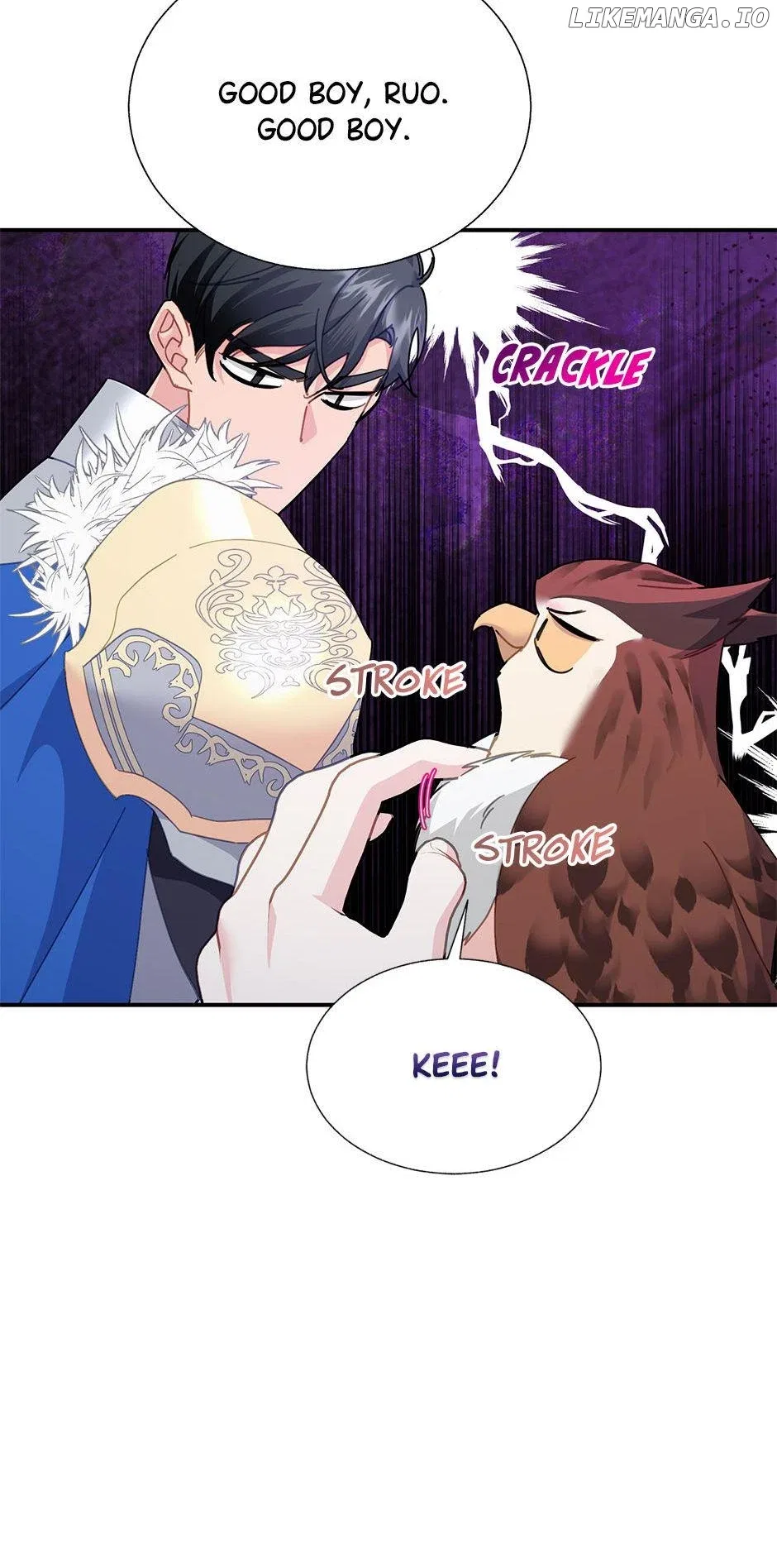 The Falcon Princess Chapter 97 – Page 19