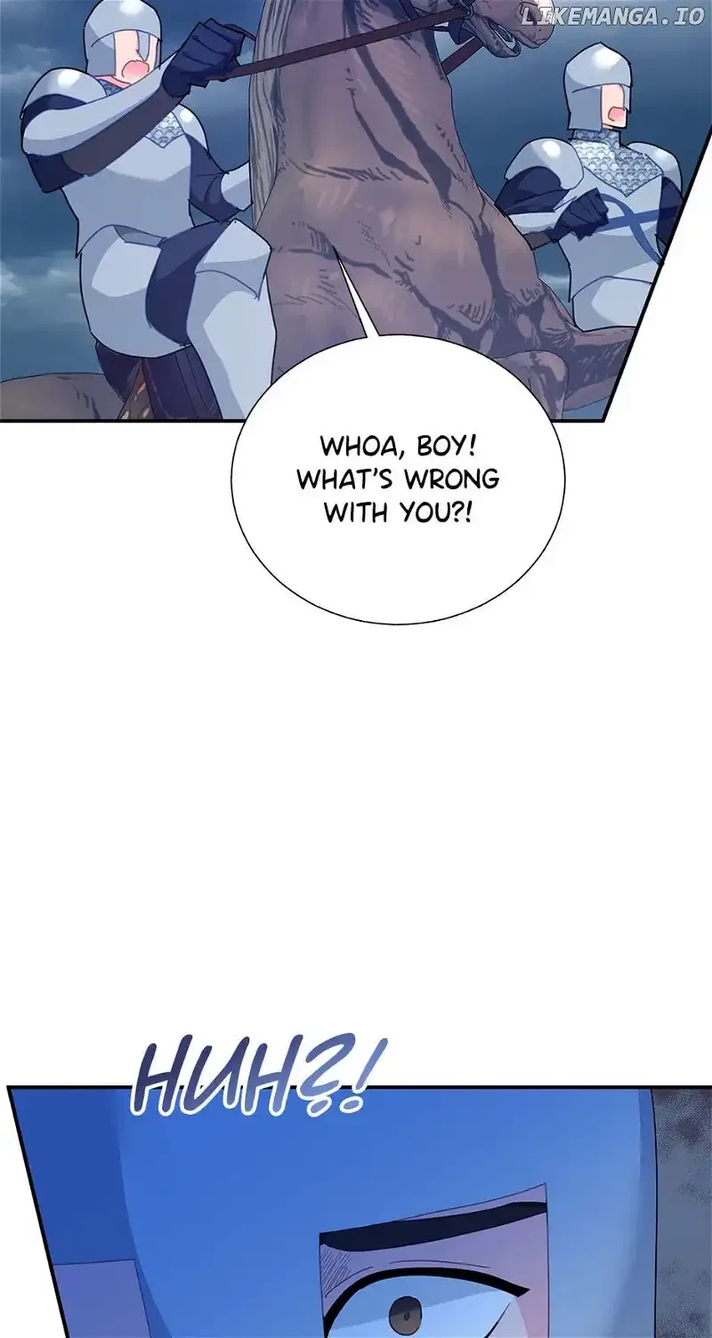 The Falcon Princess Chapter 83 – Page 37