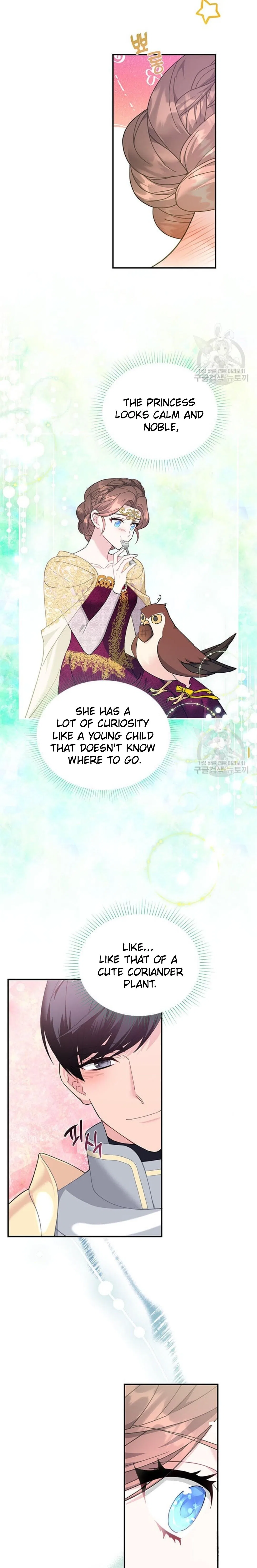The Falcon Princess Chapter 74 – Page 9
