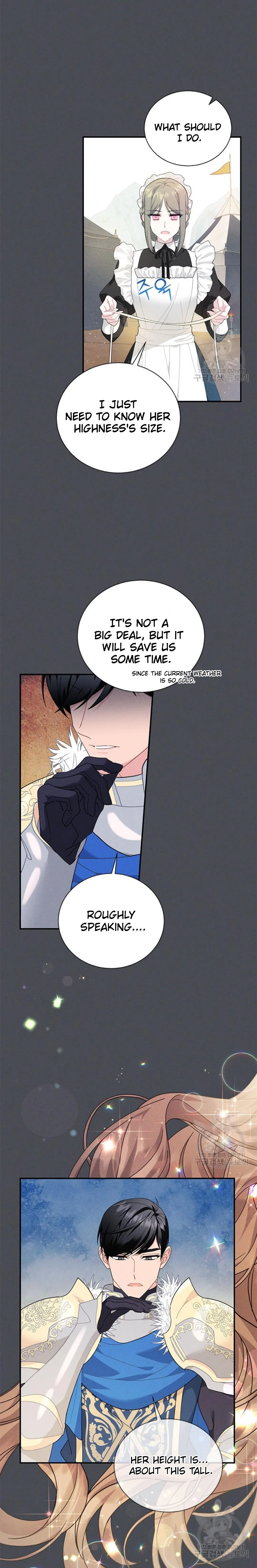 The Falcon Princess Chapter 73 – Page 17