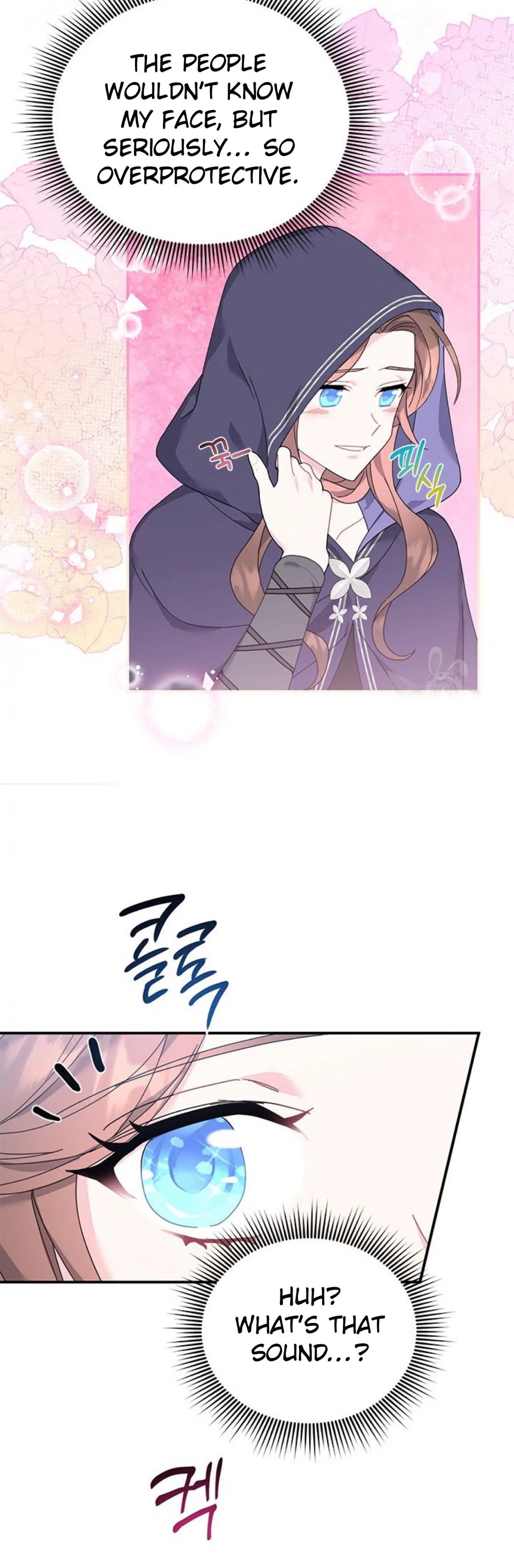 The Falcon Princess Chapter 66 – Page 27