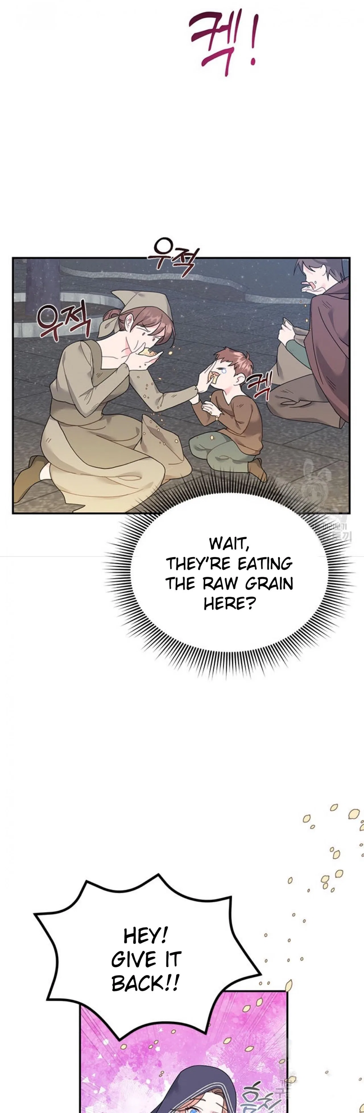 The Falcon Princess Chapter 66 – Page 28
