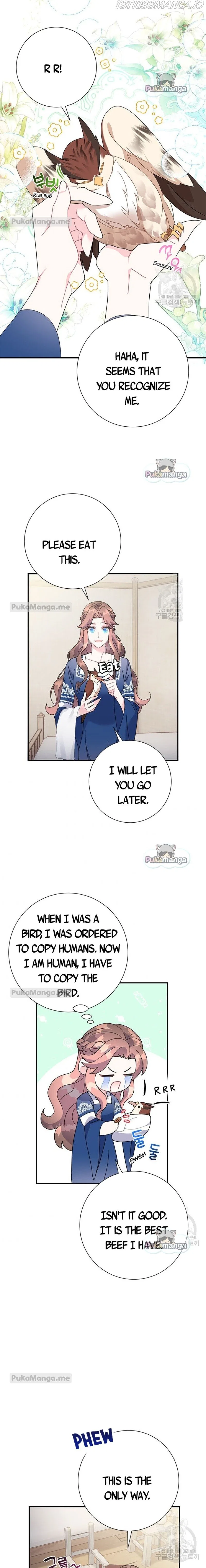 The Falcon Princess Chapter 45 – Page 7