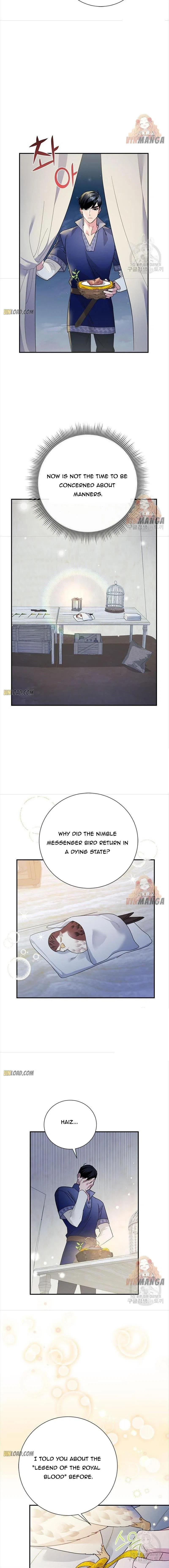 The Falcon Princess Chapter 43 – Page 4